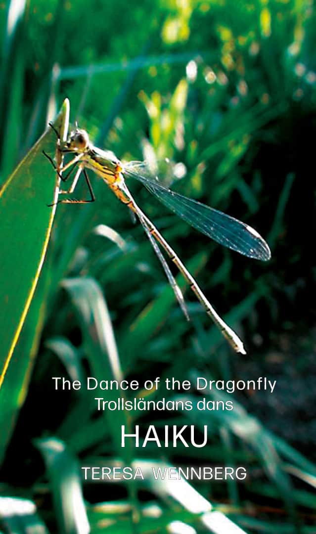 Teresa Wennberg : The dance of the Dragonfly / Trollsländans dans