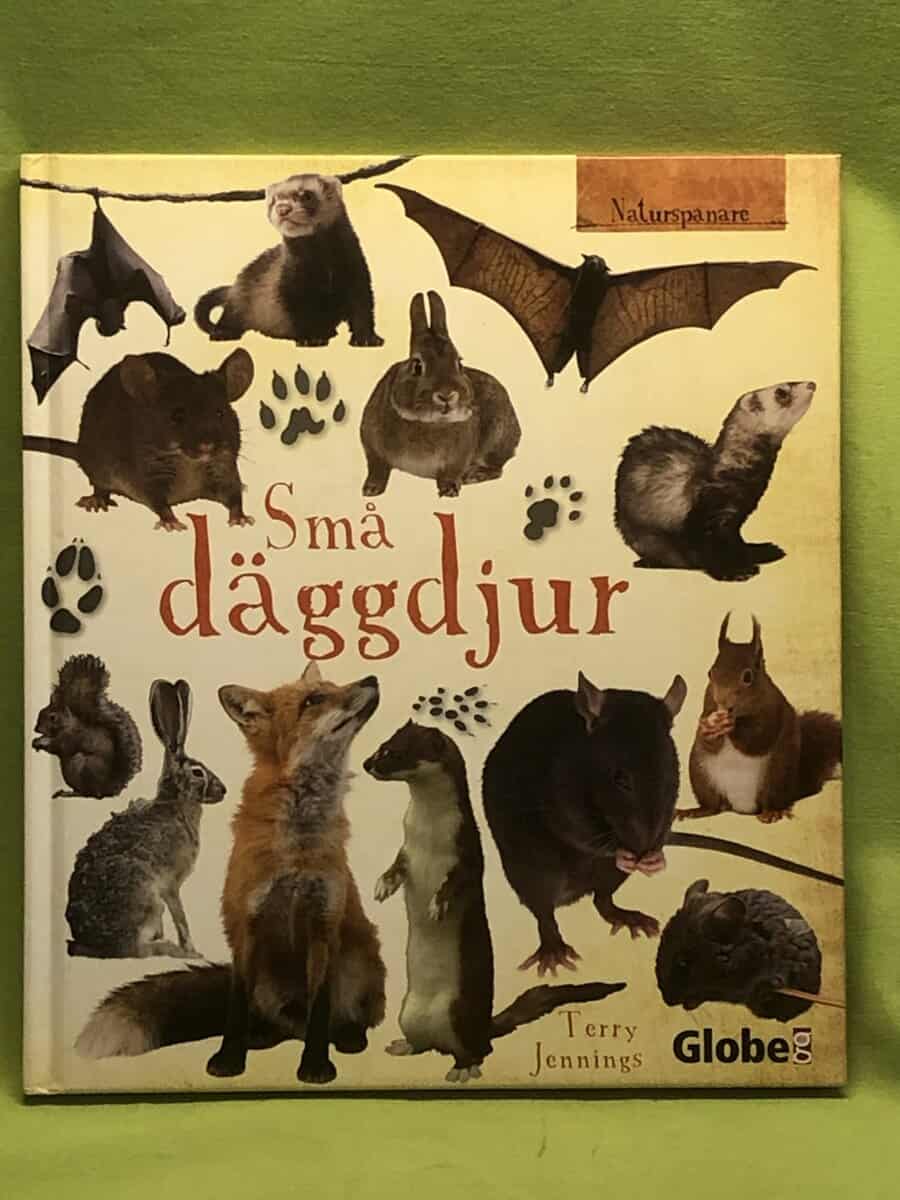 Terry Jennings : Små däggdjur