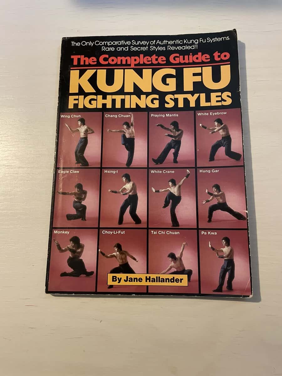 The Complete Guide to Kung Fu Fighting Styles