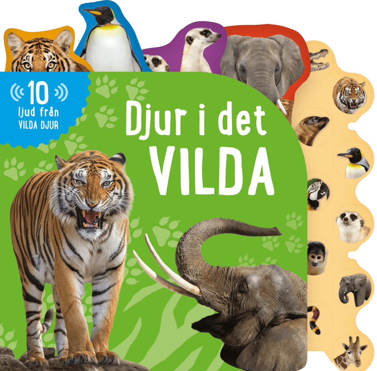 Thea Feldman : Djur i det vilda