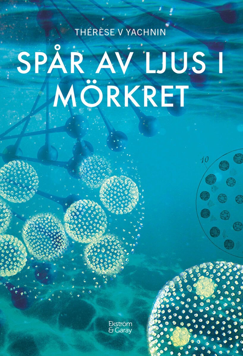 Thérèse V Yachnin : Spår av ljus i mörkret