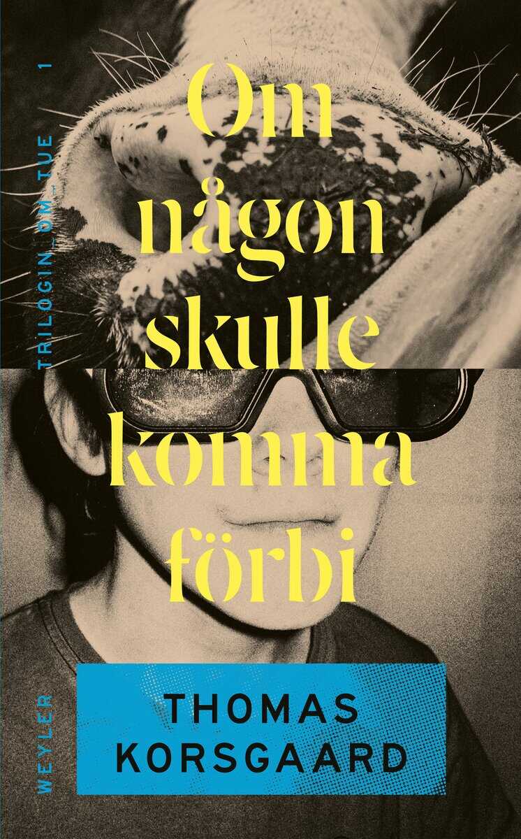 Thomas Korsgaard : Om någon skulle komma förbi