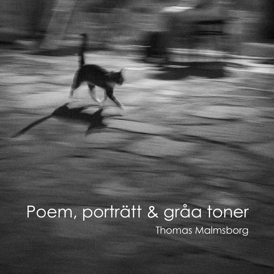 Thomas Malmsborg : Poem, porträtt & gråa toner