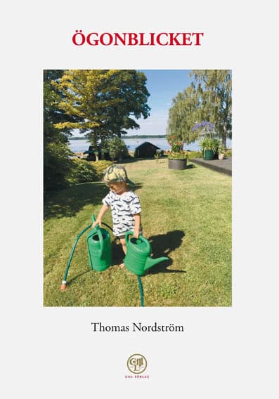 Thomas Nordström : Ögonblicket