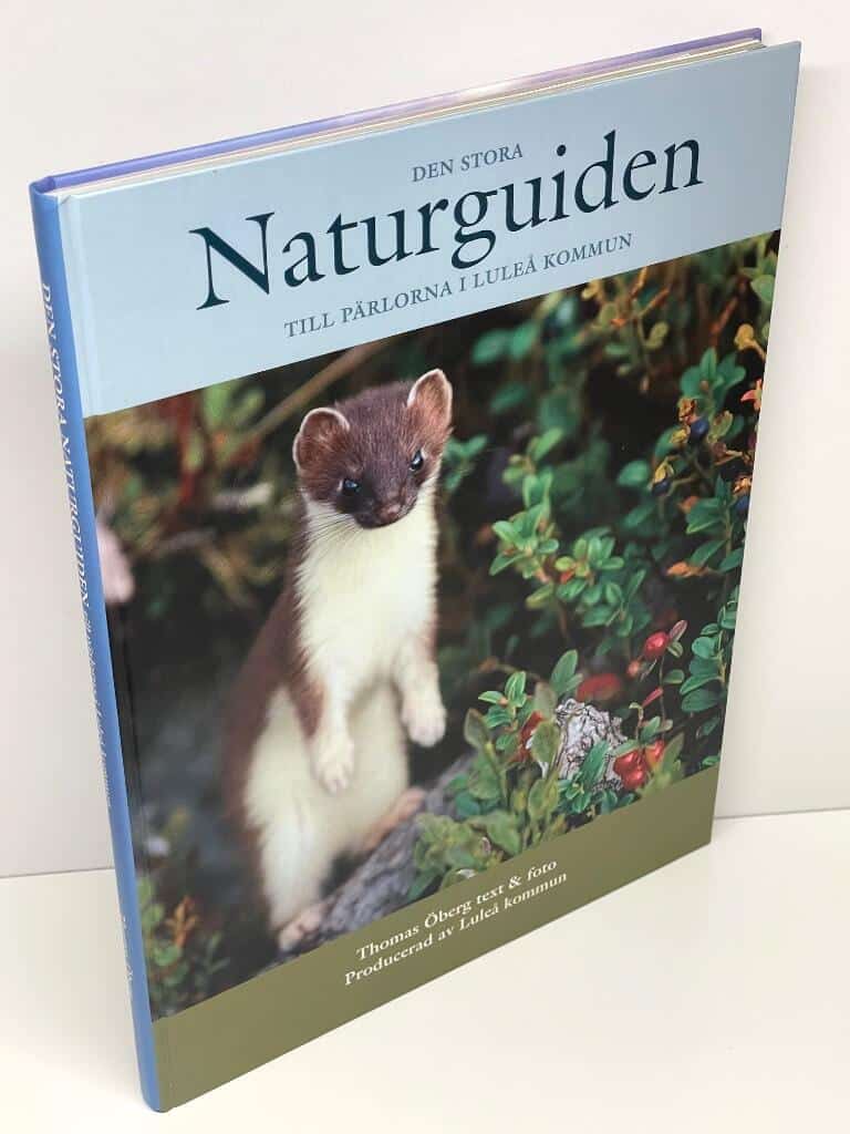 Thomas Öberg : Den stora naturguiden till pärlorna i Luleå kommun