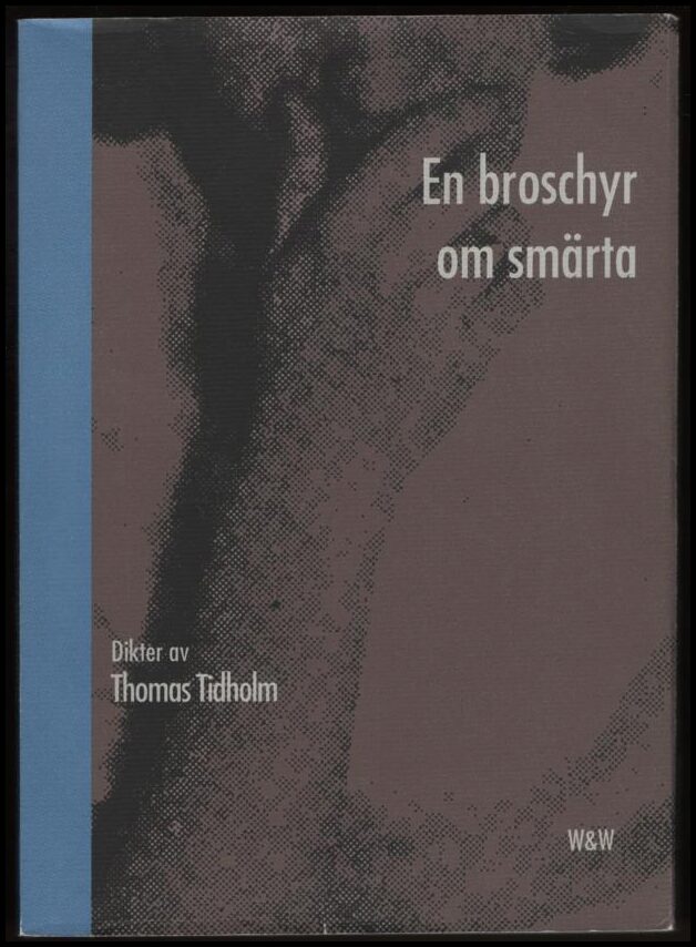 Thomas Tidholm : En broschyr om smärta