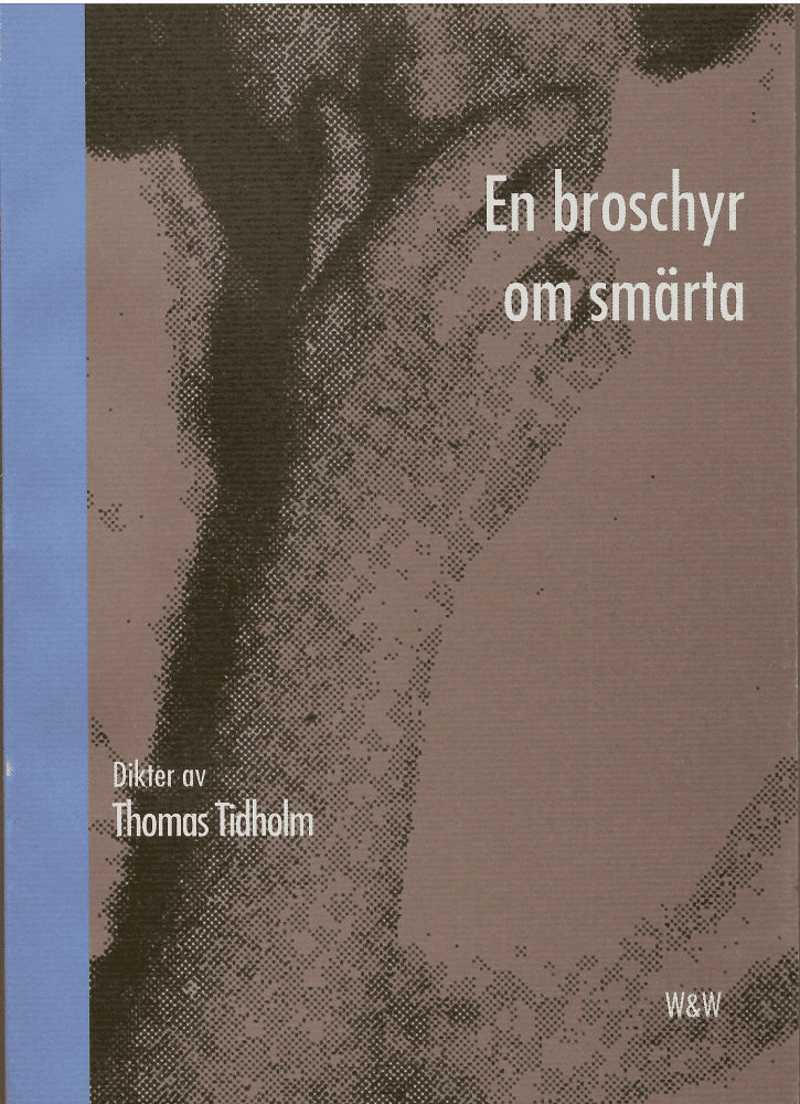 Thomas Tidholm : En broschyr om smärta