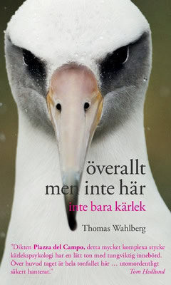 Thomas Wahlberg : Överallt men inte här