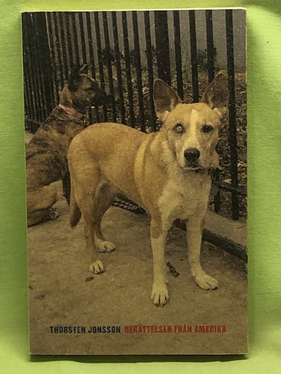 Thorsten Jonsson : Berättelser från Amerika noveller