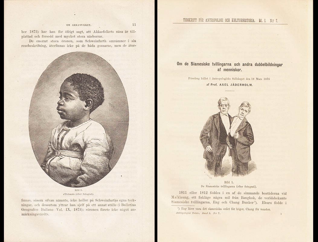 Tidskrift för antropologi och kulturhistoria. Band 1. Nr 1-12 (1875)