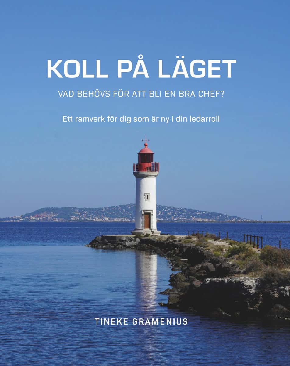 Tineke Gramenius : Koll på läget