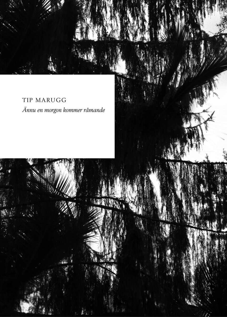 Tip Marugg : Ännu en morgon kommer råmande