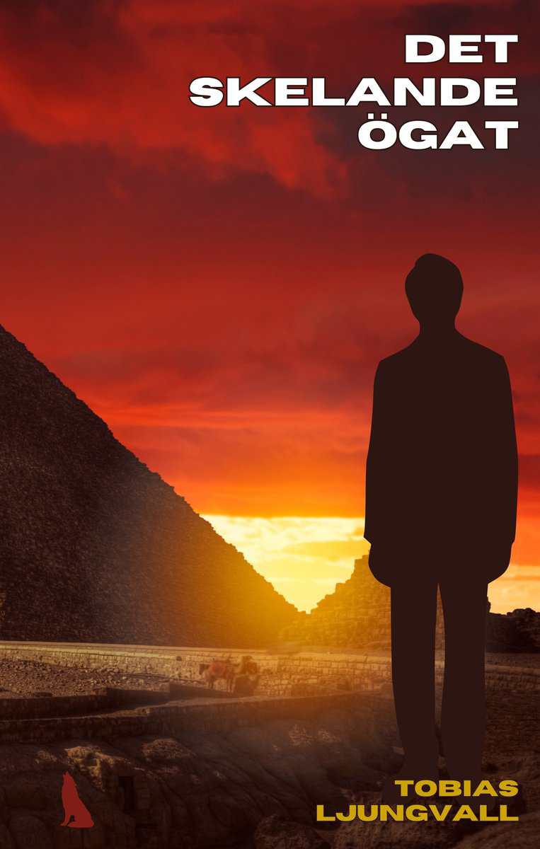 Tobias Ljungvall : Det skelande ögat