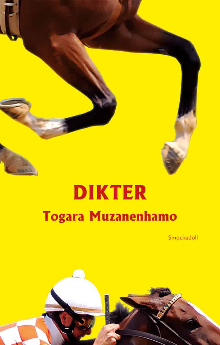 Togara Muzanenhamo : Dikter