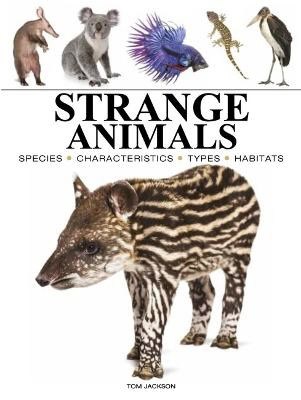 Tom Jackson : Strange Animals