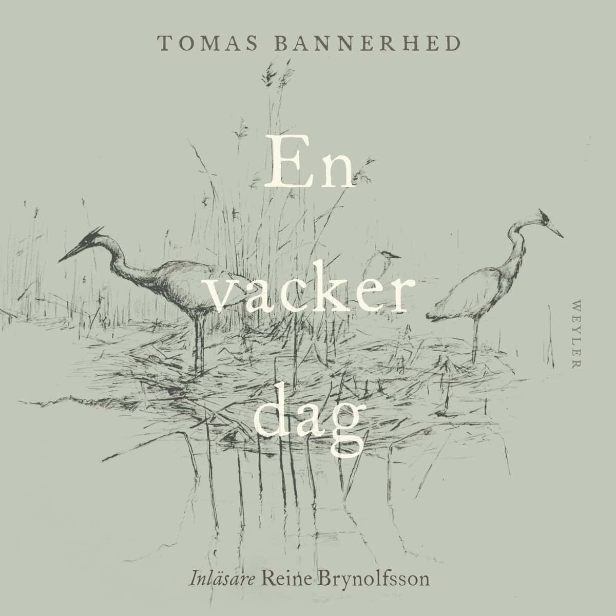 Tomas Bannerhed : En vacker dag