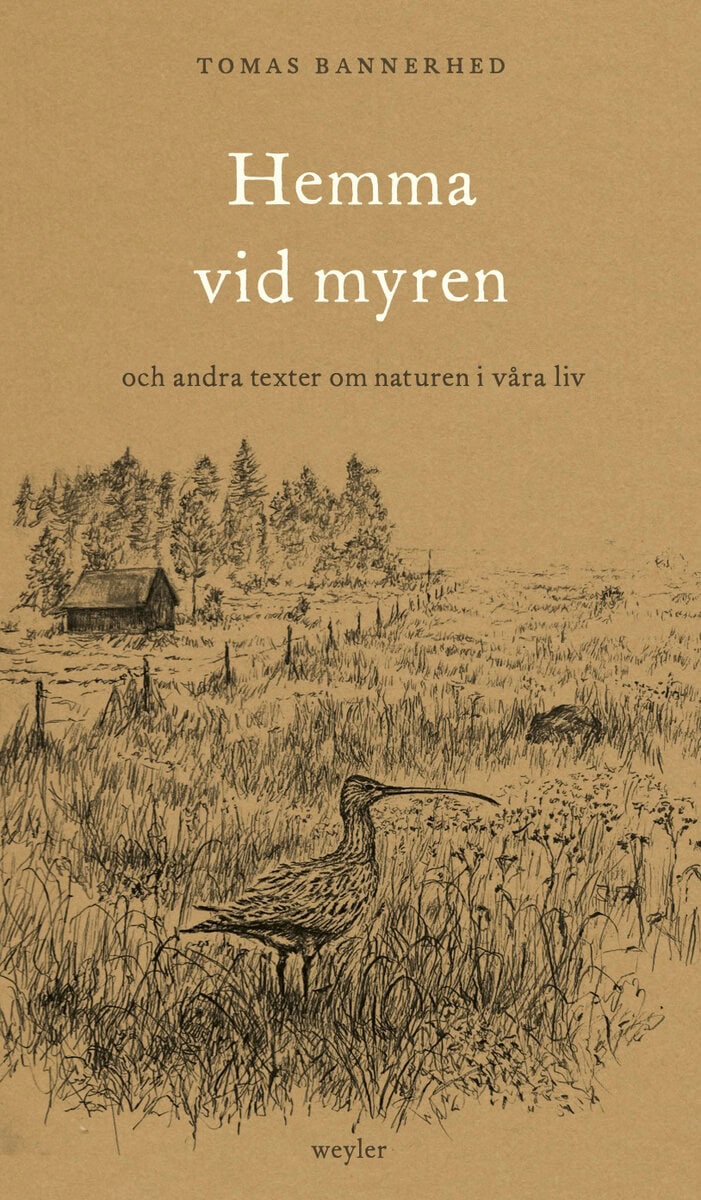 Tomas Bannerhed : Hemma vid myren : och andra texter om naturen i våra liv