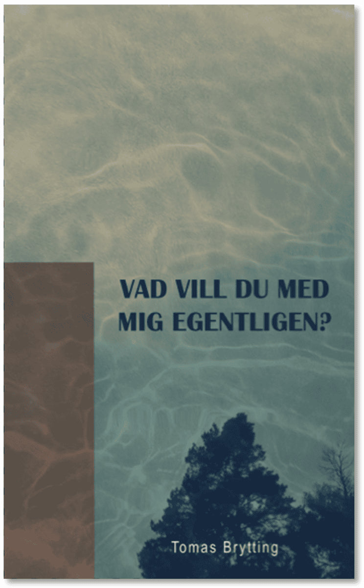 Tomas Brytting : Vad vill du med mig egentligen?