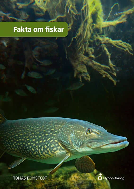 Tomas Dömstedt : Fakta om fiskar