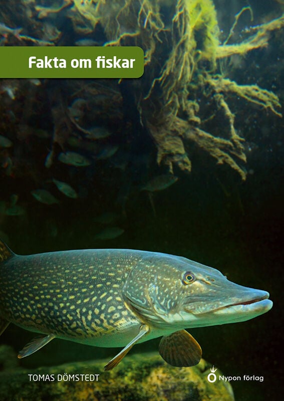 Tomas Dömstedt : Fakta om fiskar