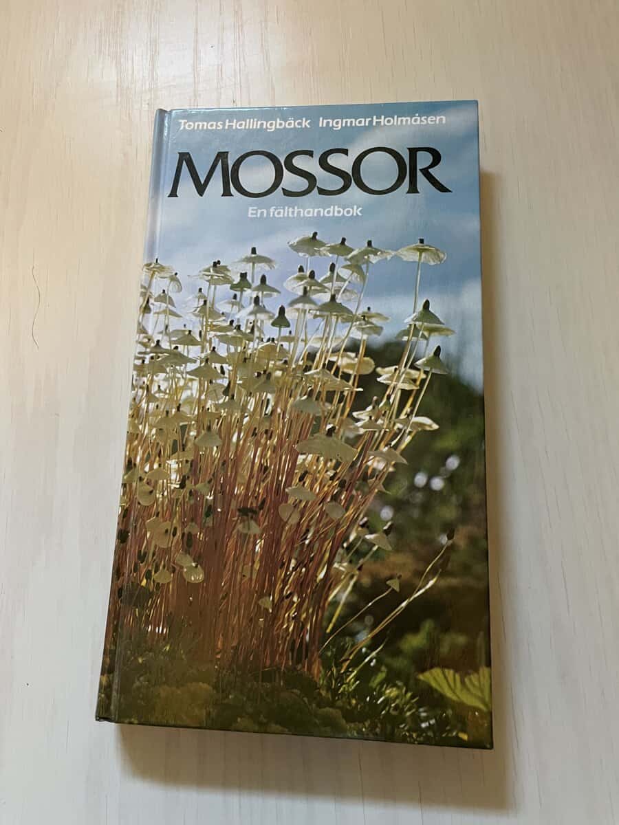 Tomas Hallingbäck : Mossor