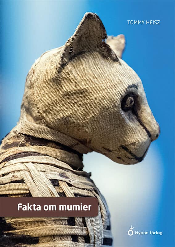 Tommy Heisz : Fakta om mumier