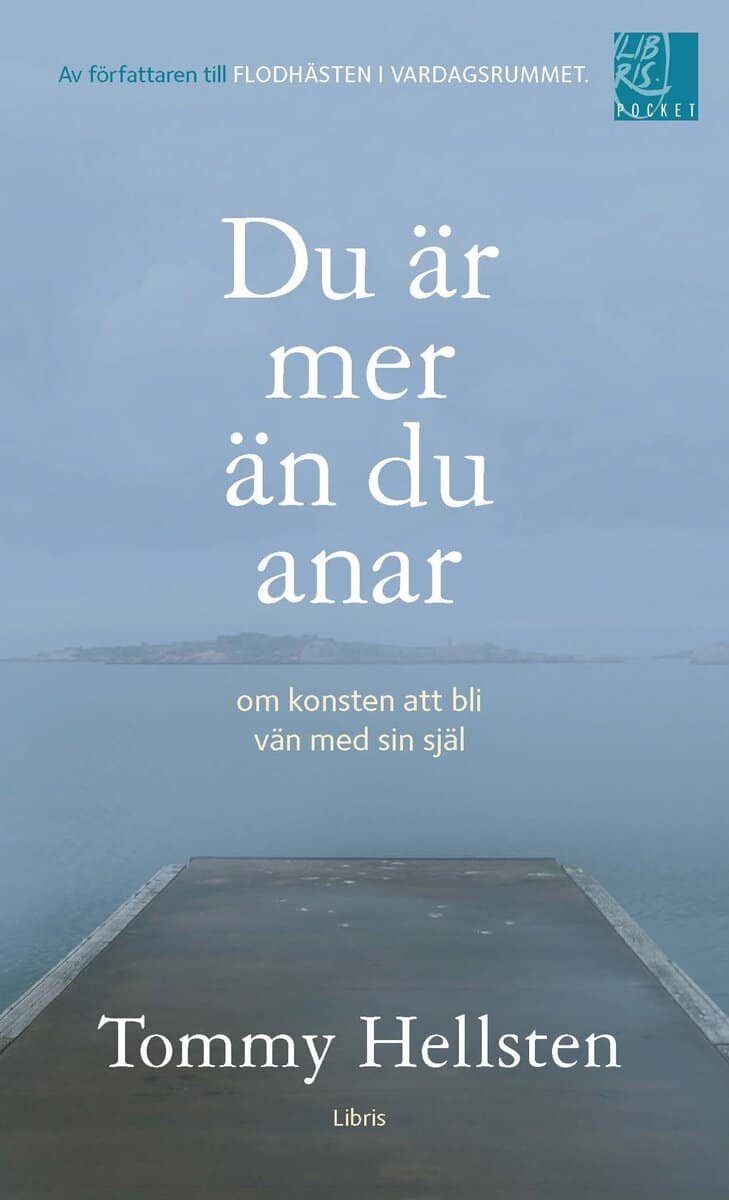 Tommy Hellsten : Du är mer än du anar