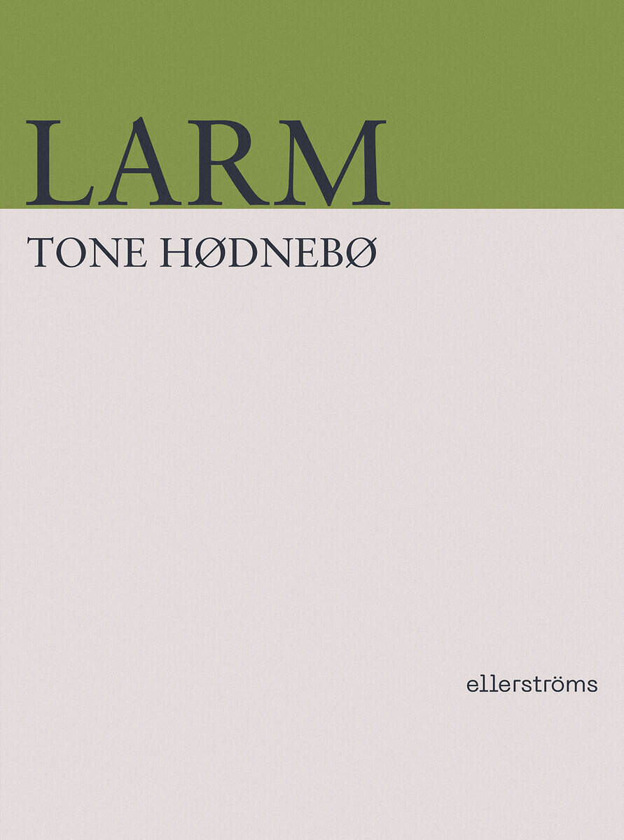 Tone Hødnebø : Larm