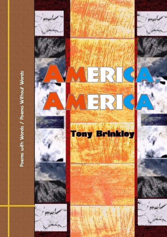 Tony Brinkley : America, America