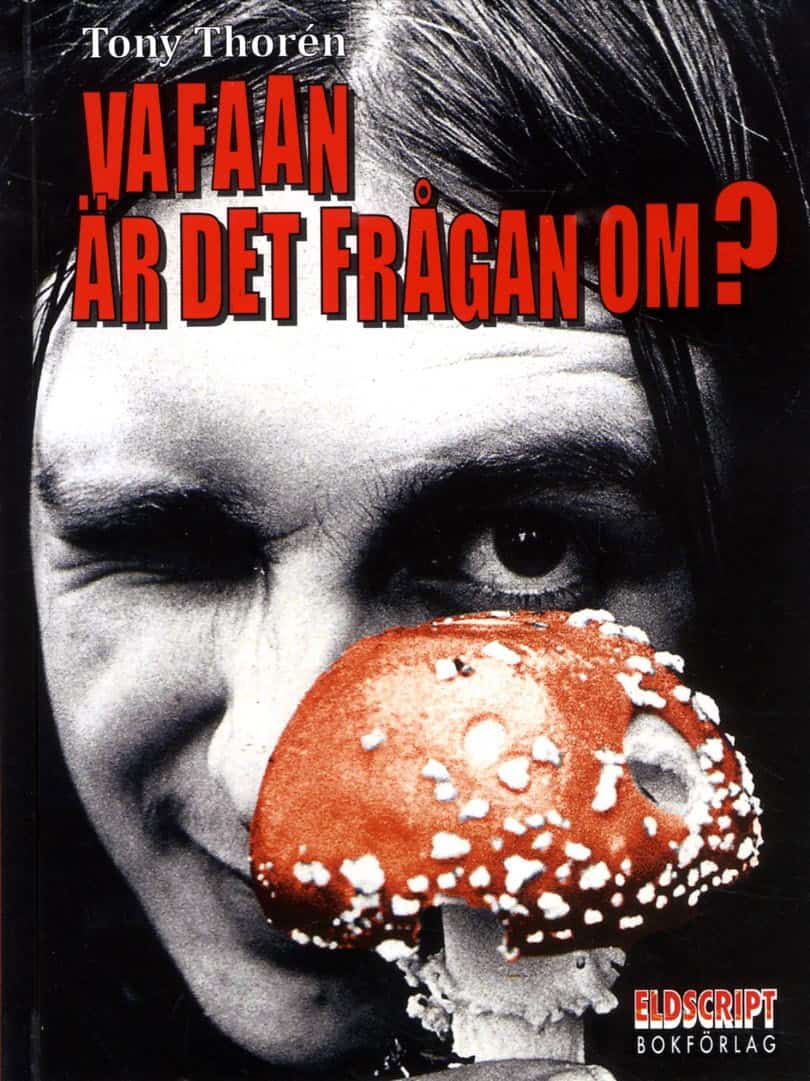Tony Thorén : Va faan är det frågan om?