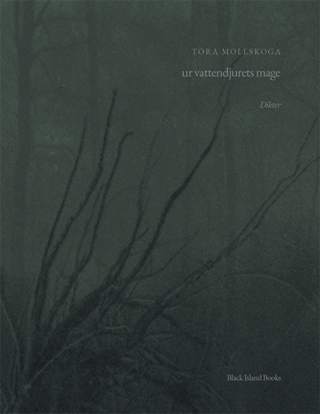 Tora Mollskoga : Ur vattendjurets mage