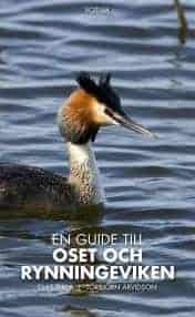 Torbjörn Arvidson Clas Thor : GUIDE TILL OSET OCH RYNNINGEVIKEN