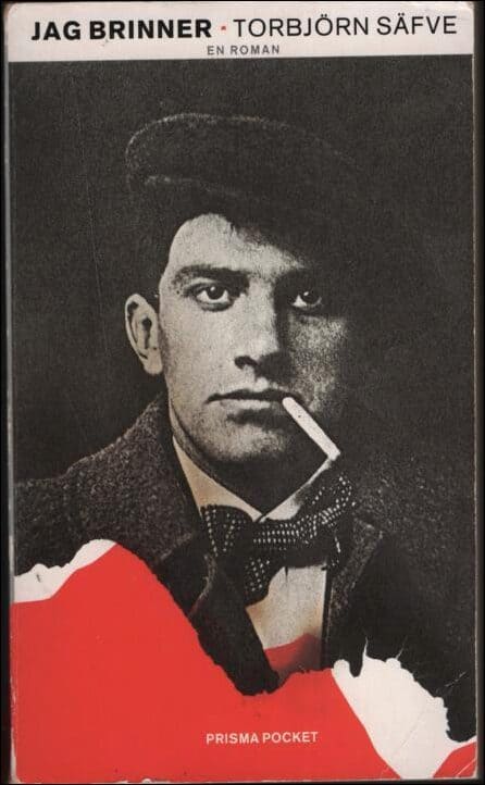 Torbjörn Säfve : Jag brinner