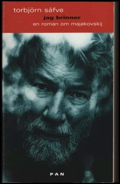 Torbjörn Säfve : Jag brinner