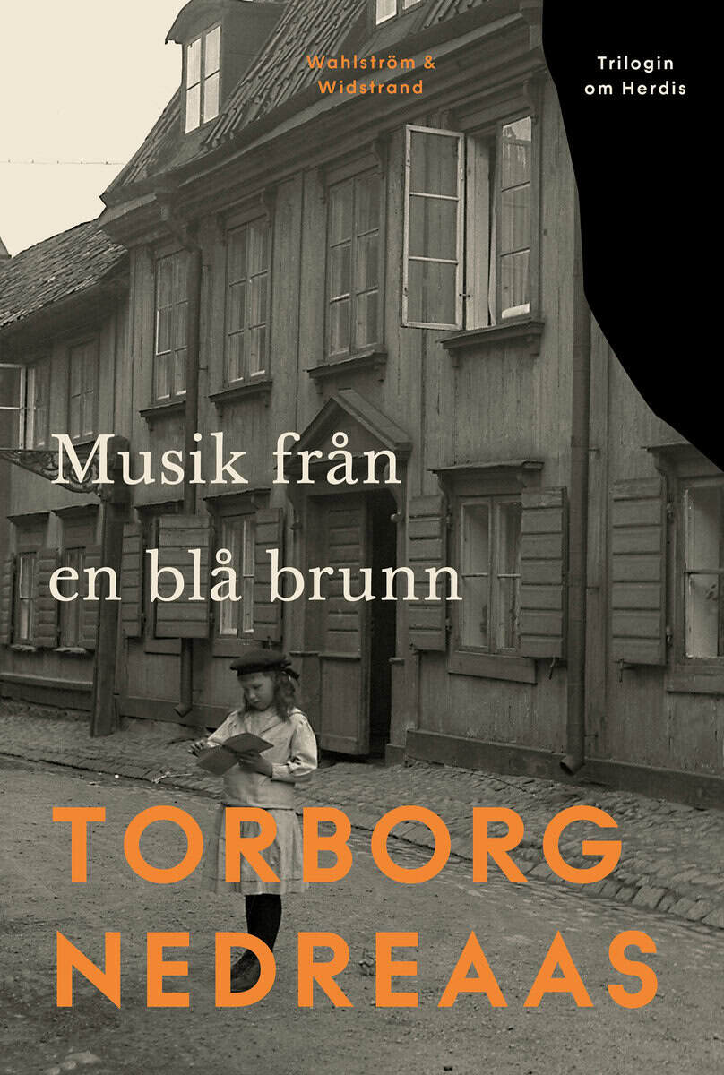 Torborg Nedreaas : Musik från en blå brunn
