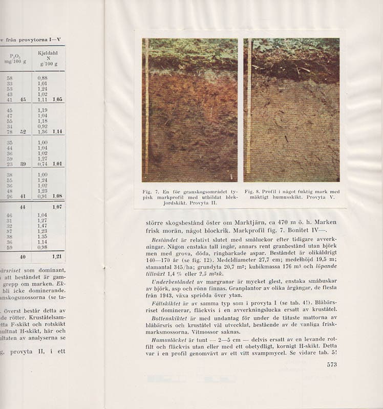 Tore Arnborg : Mark och vegetation inom Bensjö-området samt några synpunkter på trädslagsvalet