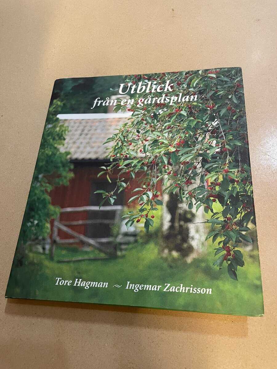 Hagman, Tore, Zachrisson, Ingemar : Utblick från en gårdsplan