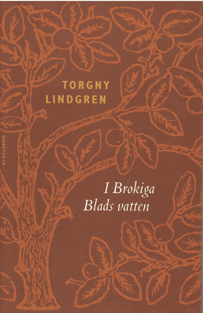 Torgny Lindgren : I Brokiga Blads vatten