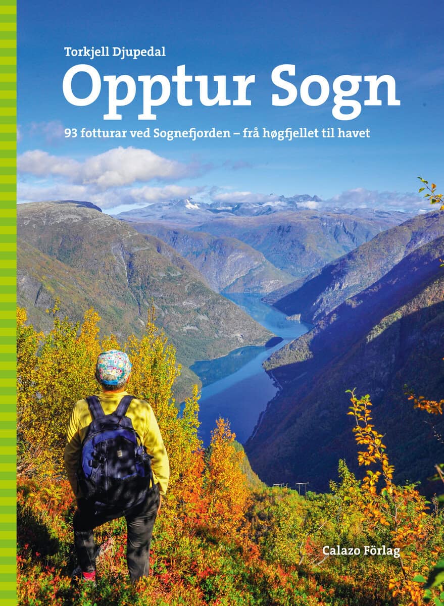 Torkjell Djupedal : Opptur Sogn