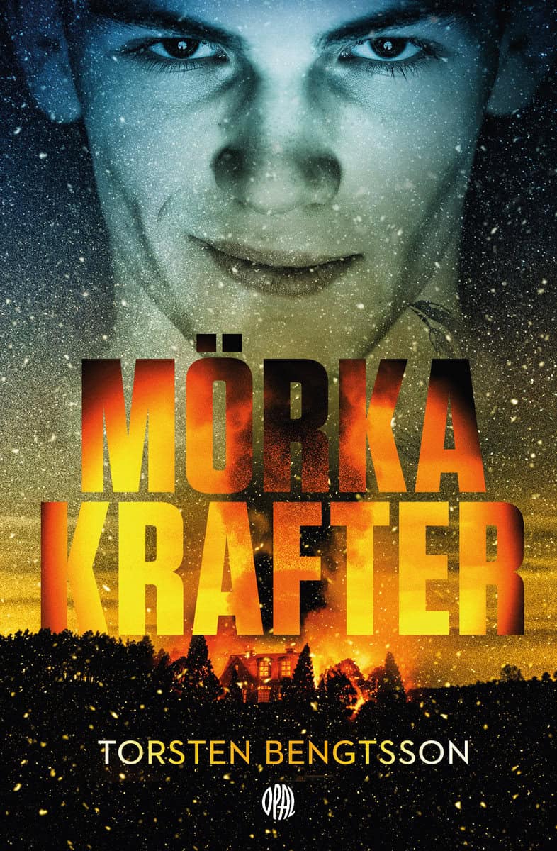 Torsten Bengtsson : Mörka krafter