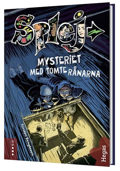 Torsten Bengtsson : Mysteriet med tomterånarna