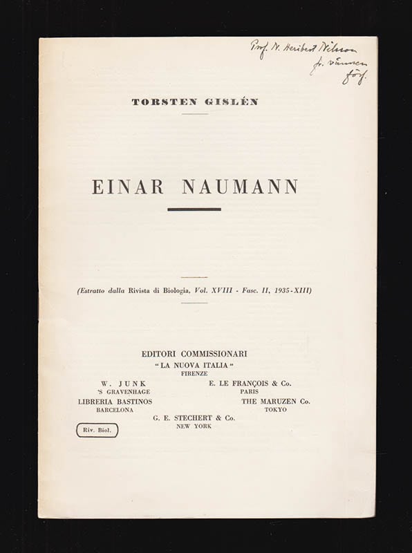 Torsten Gislén : Einar Naumann
