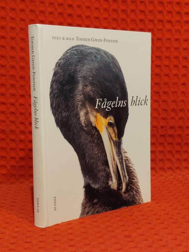 Torsten Green-Petersen : Fågelns blick