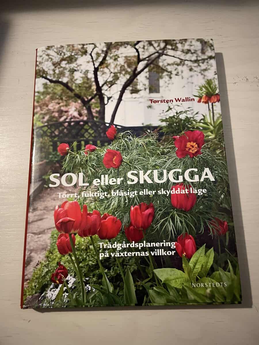 Torsten Wallin : Sol eller skugga