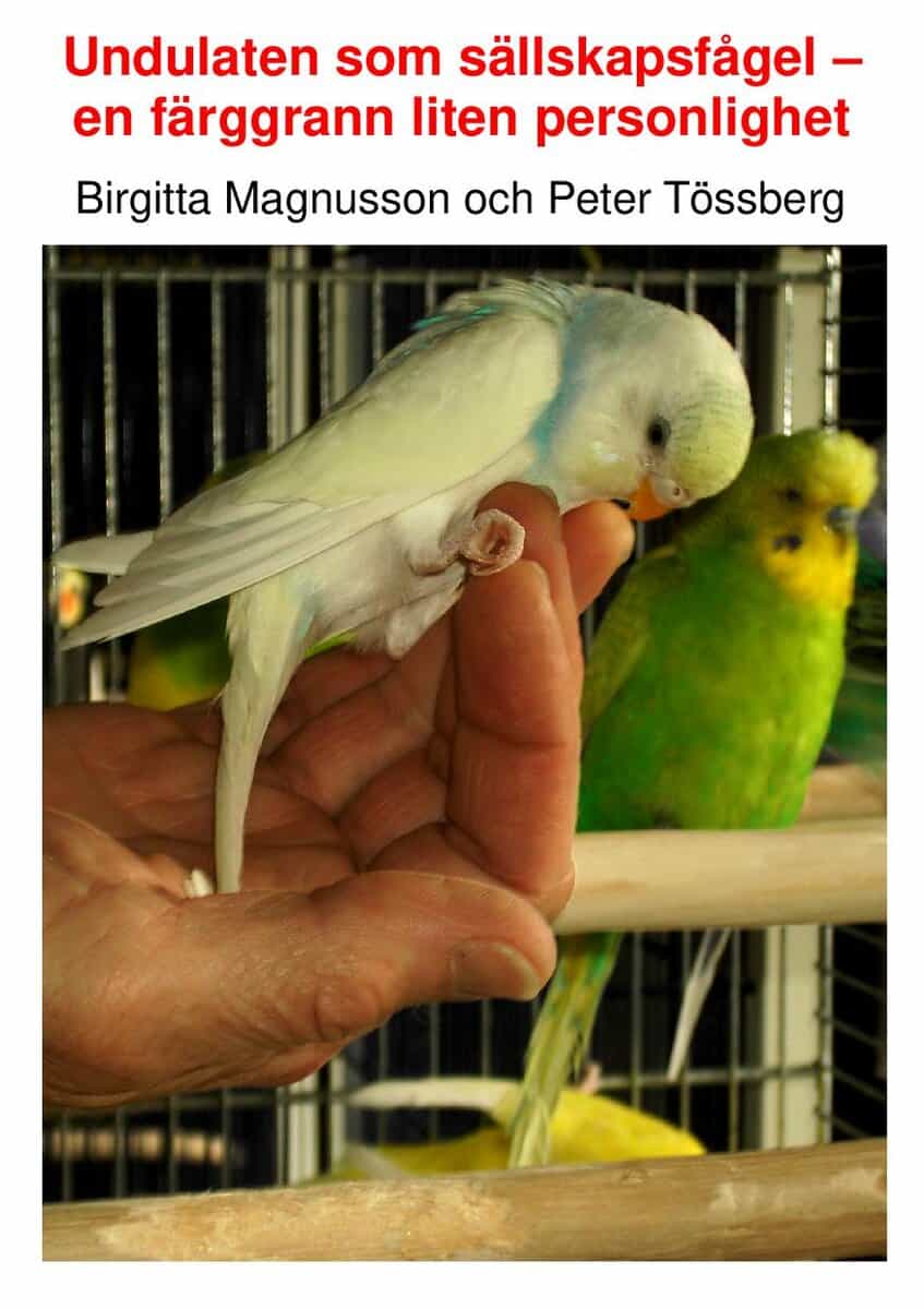 Tössberg, Peter ; Magnusson, Birgitta : Undulaten som sällskapsfågel : en färggrann liten personlighet