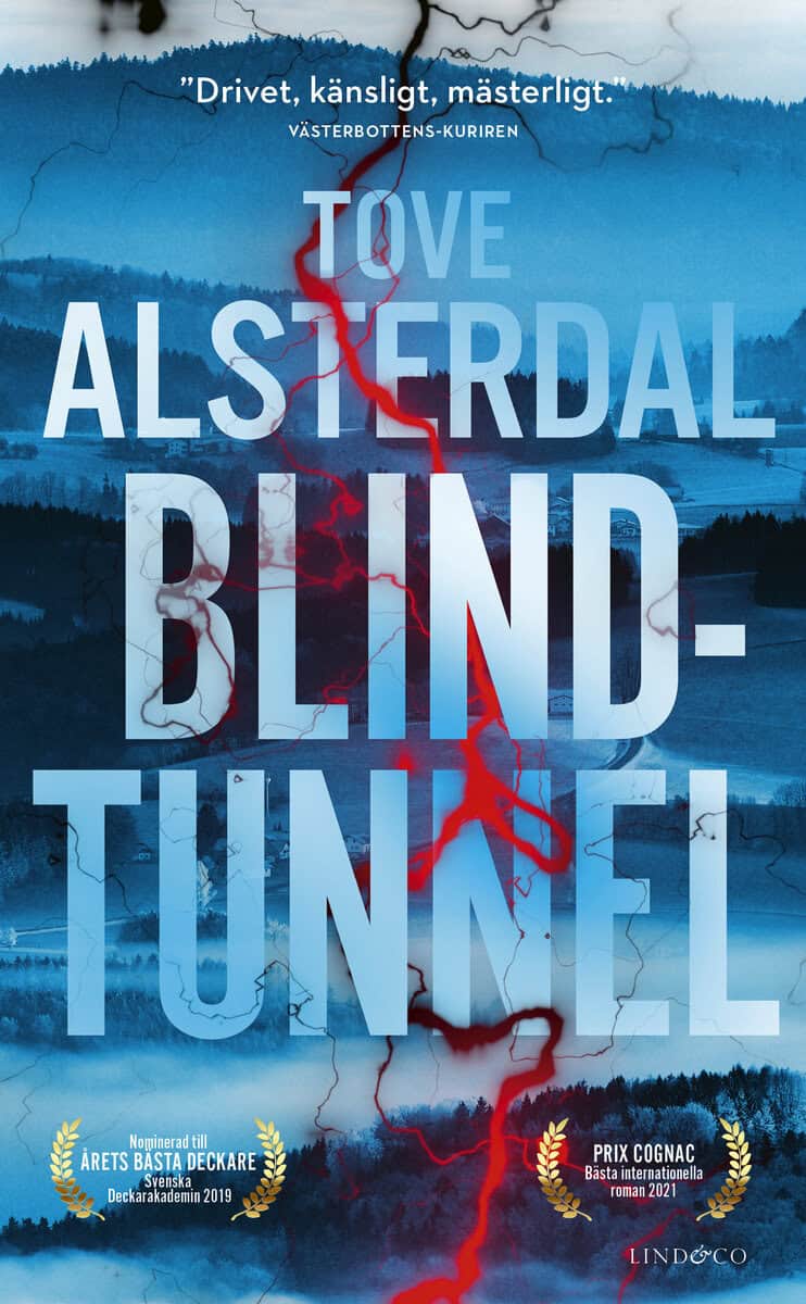 Tove Alsterdal : Blindtunnel