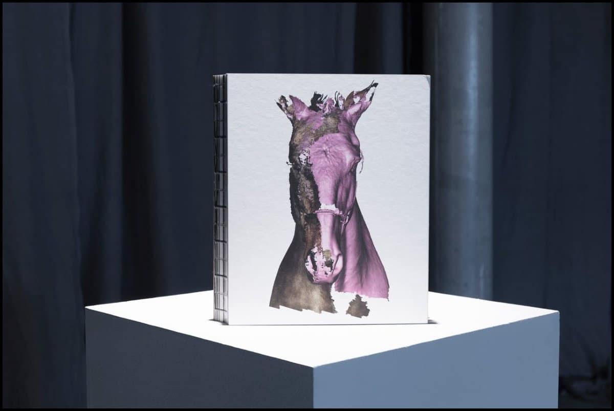 Tove Kjellmark : The horse, the robot & the immeasurable
