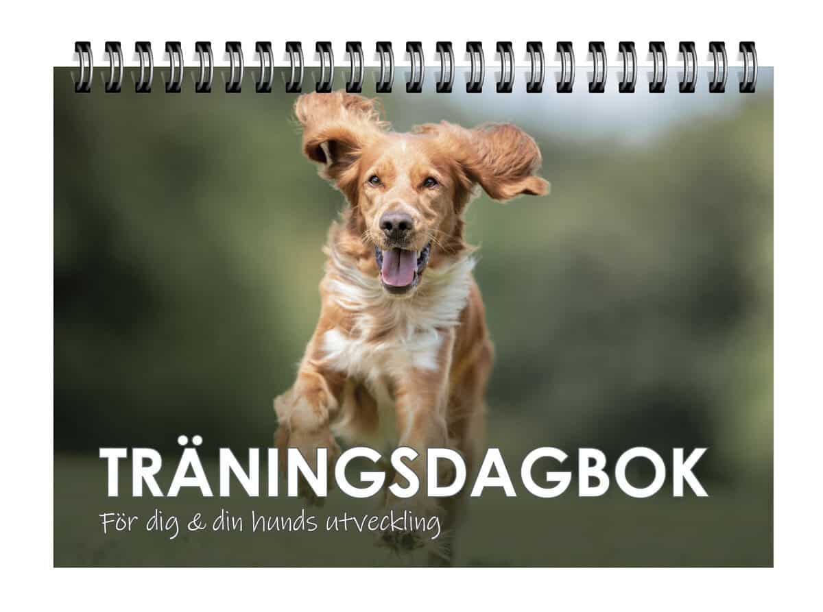 Träningsdagbok