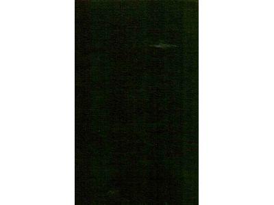 Ture Nerman : Hjalmar Branting. Kulturpublicisten