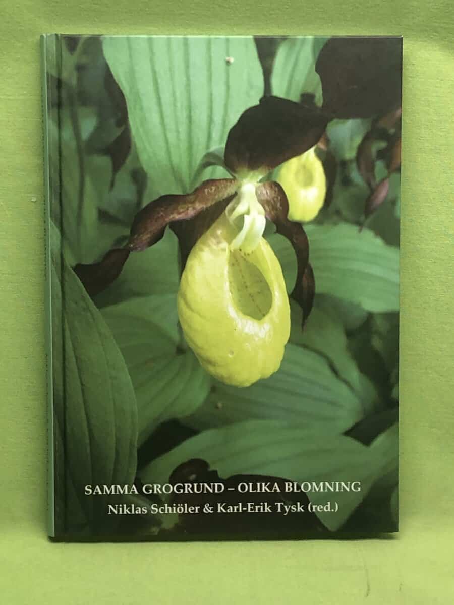 Tysk, Karl-Erik ; Schiöler, Niklas ; Skaraborgs akademi : Samma grogrund - olika blomning